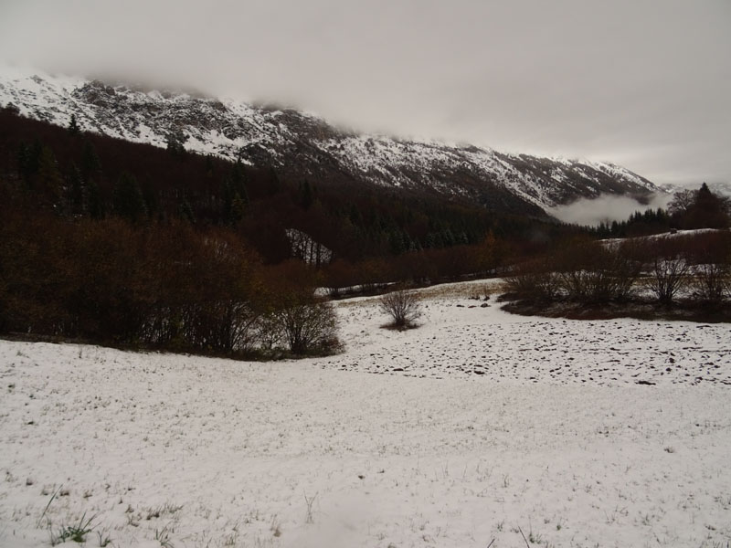 prime escursioni sulla neve....autunno  2019